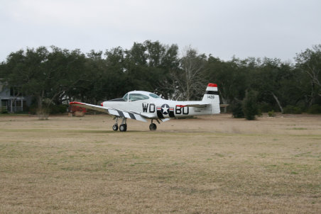 fly_in_fun011009.jpg