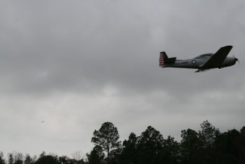 fly_in_fun012004.jpg